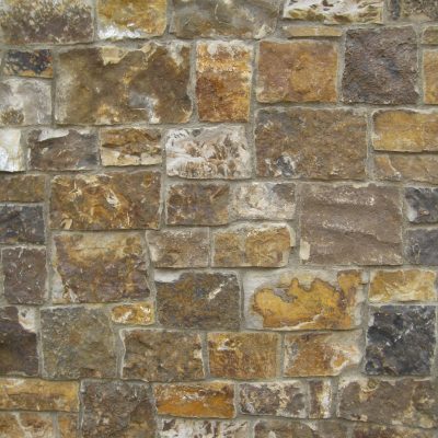 Desert Tortoise Chopped