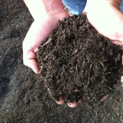 Organic Compost