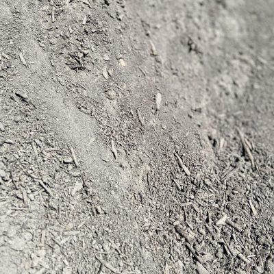 Premium Top Soil